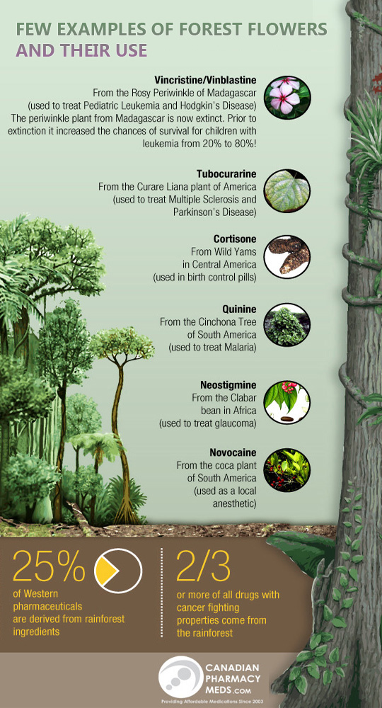 Products which humans found in forests